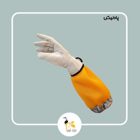 دستکش پشت چسبدار پادنیش