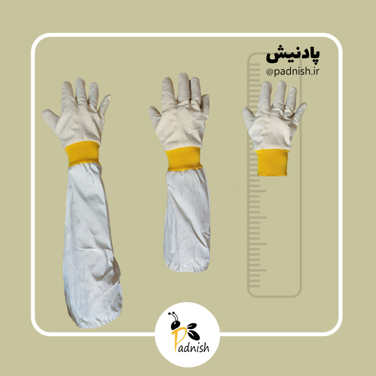 راهنمای سایزبندی دستکش های زنبورداری پادنیش