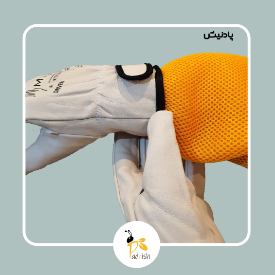 دستکش پشت چسبدار پادنیش