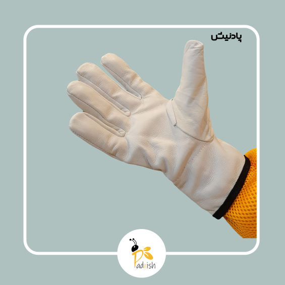 دستکش پشت چسبدار پادنیش